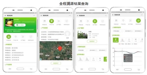大田智慧農業1.28億元數字化服務項目 以數字內容制作驅動農產品安全生產新篇章